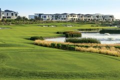 �ϰݷ���Ͷ�� �ַ�����Ǯ ���ܸ�Ʒ�ʵ�����200����