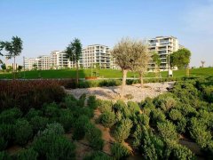 µÏ°Ý·¿²ú£ºµÏ°Ýɽׯ ¹«Ô°ÇøÓòС»§Ð͹«Ô¢ Collective µÏ°Ý·¿²ú£ºµÏ°Ýɽׯ ¹«Ô°ÇøÓòС»§Ð͹«Ô¢ Collective