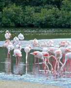 ���˷�����