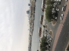 ��Ԣ�������