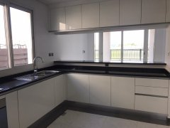 CBDһ�� ���� �����������