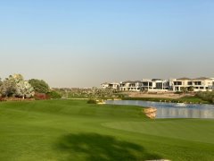 �ϰݸ߶˺�����������