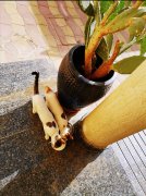 �ϰݴ���֮�ң����Ƕ��ڶ���Al warqaa������