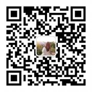 国际城 房产(出租) 国际城 房产(出租)