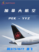 ɳ�� ���ŵ� ���� ����