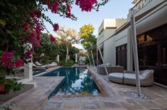 �ϰ��̻����**�ߵ�ɭ�ֱ��� �۸�����