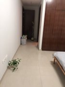 �����·����Գ���