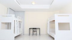 �ڰ����������������