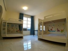 �ڰ����������������