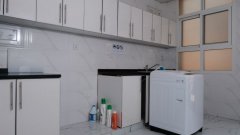 �ڰ����������������