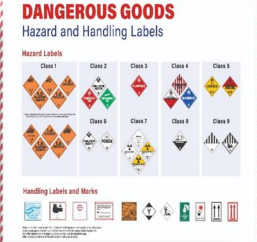 中国到迪拜专线开通生活必需品爱心包裹服务 中国到迪拜专线开通生活必需品爱心包裹服务