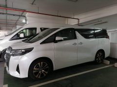 2020���ﰢ����MPV��������
