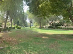 �������������߶������ת�����ͼۼ�ת��355W