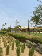 ��ȫ���ַ���2��һ�� 97�� �׸�20%������ס 80%β��