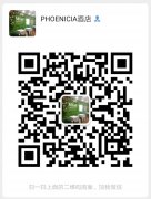 �����ֺ�̩�ϰ���ɯ�㳡�꡷(GreenTree Phoeni