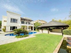 ���ϰݸ����������������ۡ� 