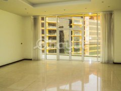 ������Ԣ����