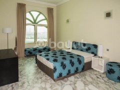 ������Ԣ����