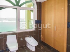 ������Ԣ����