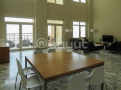 ������Ԣ����