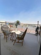 EMAAR�������ַ� �ϰݽ��еĶ�����Ԣ ����50%���ɳ���