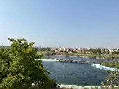 ���� �߶��������5��+��ķ��+������+ȫ�׸���Ҿ�