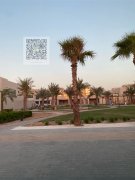 295��Ϳ��������������**�����ַ�����