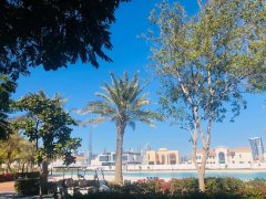 ���ˡ����ˡ���˦���ϰ���ͷԭ��220������ֻҪ120�򡤻���