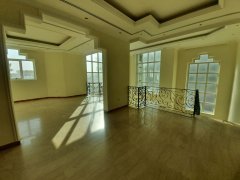 Luxurious Big House for rent o