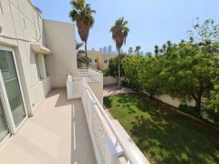 Meadows �巿������������