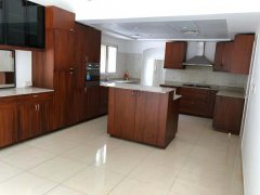 Meadows �巿������������