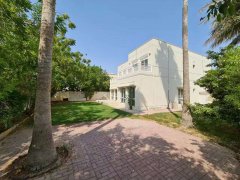 Meadows �巿������������