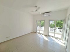 Meadows �巿������������