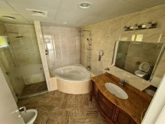 Meadows �巿������������