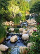 �³���Դ��Al Barari 5���������������г��۳��ۣ���