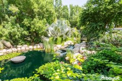 �³���Դ��Al Barari 5���������������г��۳��ۣ���