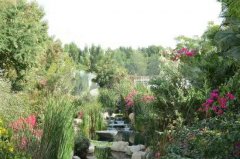 �³���Դ��Al Barari 5���������������г��۳��ۣ���