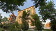 ���������򡿺�����Ԣ���ۣ��̻��ʸߴ�40%��