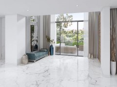 �ϰݳ������ִ��� ɭ�ֱ���