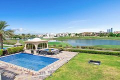 �ϰݸ��������������