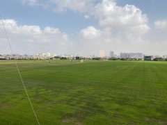 �����ʱ��������� �������߶��򾰹۵ı�����Ұ ȫ�����ڵ� һ