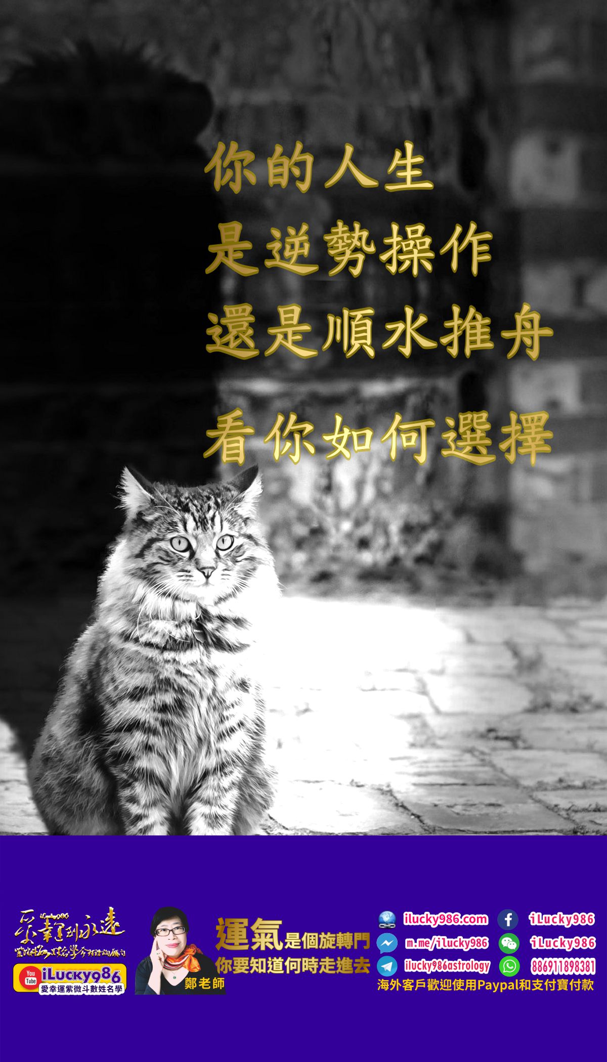 紫微斗數命理諮詢服務 紫微斗數命理諮詢服務