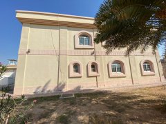 ���߿�8�����������