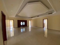 ���߿�8�����������