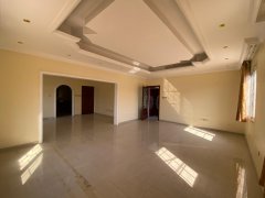 ���߿�8�����������