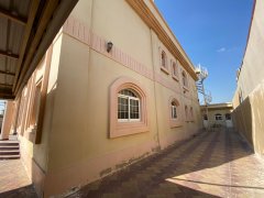 ���߿�8�����������