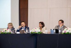 �ֻ���ʦ������