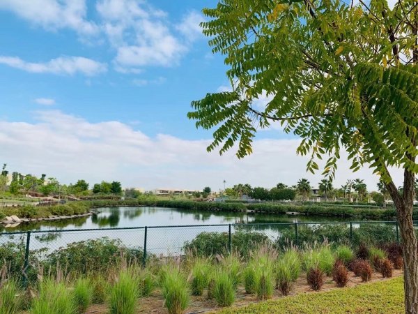 µÏ°Ý·¿²ú£º´ïÂí¿Ëɽׯ£¬¸ß¶û·òÇò³¡ÇøÓò£¬4·¿ÁªÅűðÊû½ö350Íò µÏ°Ý·¿²ú£º´ïÂí¿Ëɽׯ£¬¸ß¶û·òÇò³¡ÇøÓò£¬4·¿ÁªÅűðÊû½ö350Íò