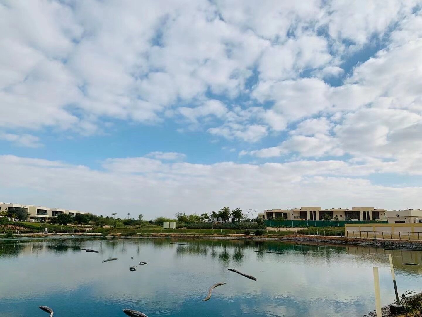 µÏ°Ý·¿²ú£º´ïÂí¿Ëɽׯ£¬¸ß¶û·òÇò³¡ÇøÓò£¬4·¿ÁªÅűðÊû½ö350Íò µÏ°Ý·¿²ú£º´ïÂí¿Ëɽׯ£¬¸ß¶û·òÇò³¡ÇøÓò£¬4·¿ÁªÅűðÊû½ö350Íò