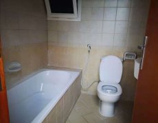 �ϰݹ��SILICON�����������⣬��ͨ�������������ţ�